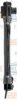 HELLA 8MK 376 713-261 Radiator, engine cooling